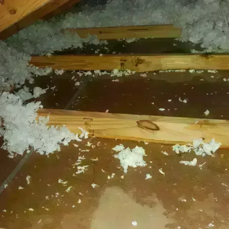 Attic Water Damage in Radium Springs, NM